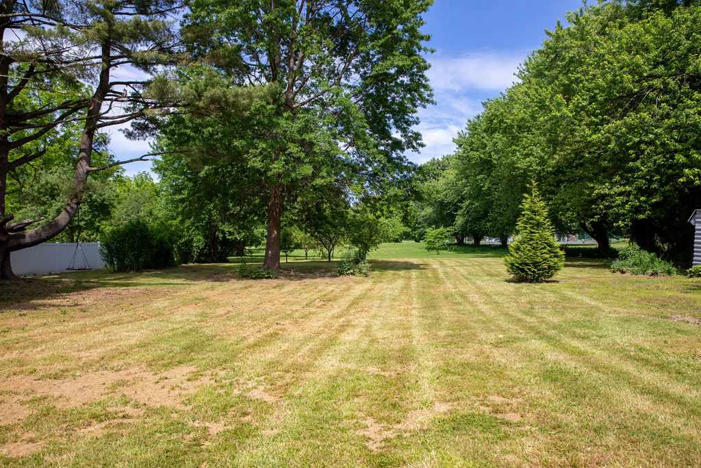 Expansive grassy backyard with several mature trees providing ample shade, and a smaller evergreen tree in the foreground. The well-maintained lawn shows distinct mowing patterns under a bright sky.