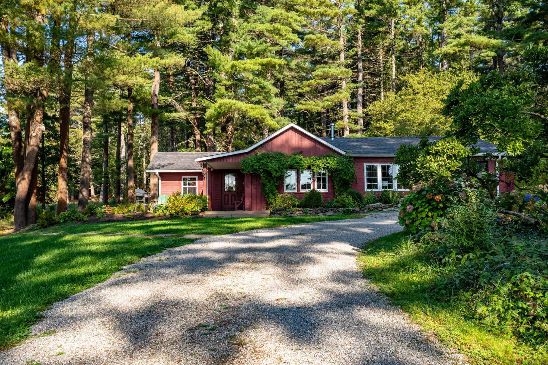 Picturesque red cottage with a gravel driveway leading to the front entrance, surrounded by a lush green lawn and tall, dense pine trees. The house blends seamlessly into its natural, wooded environment.