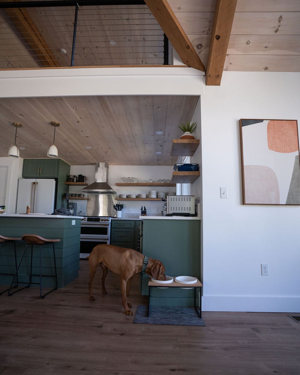 Modern kitchen with dark green lower cabinets, open shelving, and a large white refrigerator. A dog is seen eating from elevated bowls next to the kitchen island, highlighting the pet-friendly amenity.