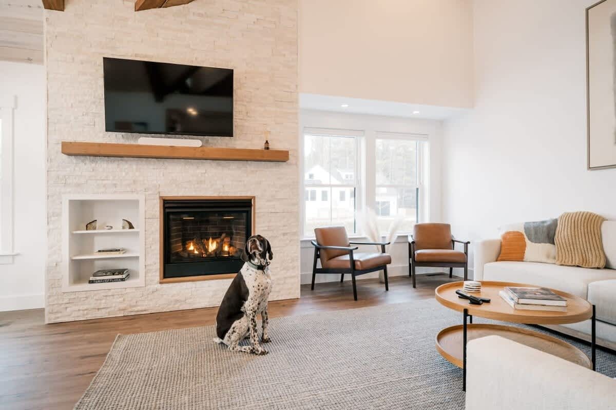 Bright living room centered around a white stone fireplace with a wooden mantel and mounted TV. A dog sits on a light grey rug in the foreground, with a white sofa and two leather armchairs visible.
