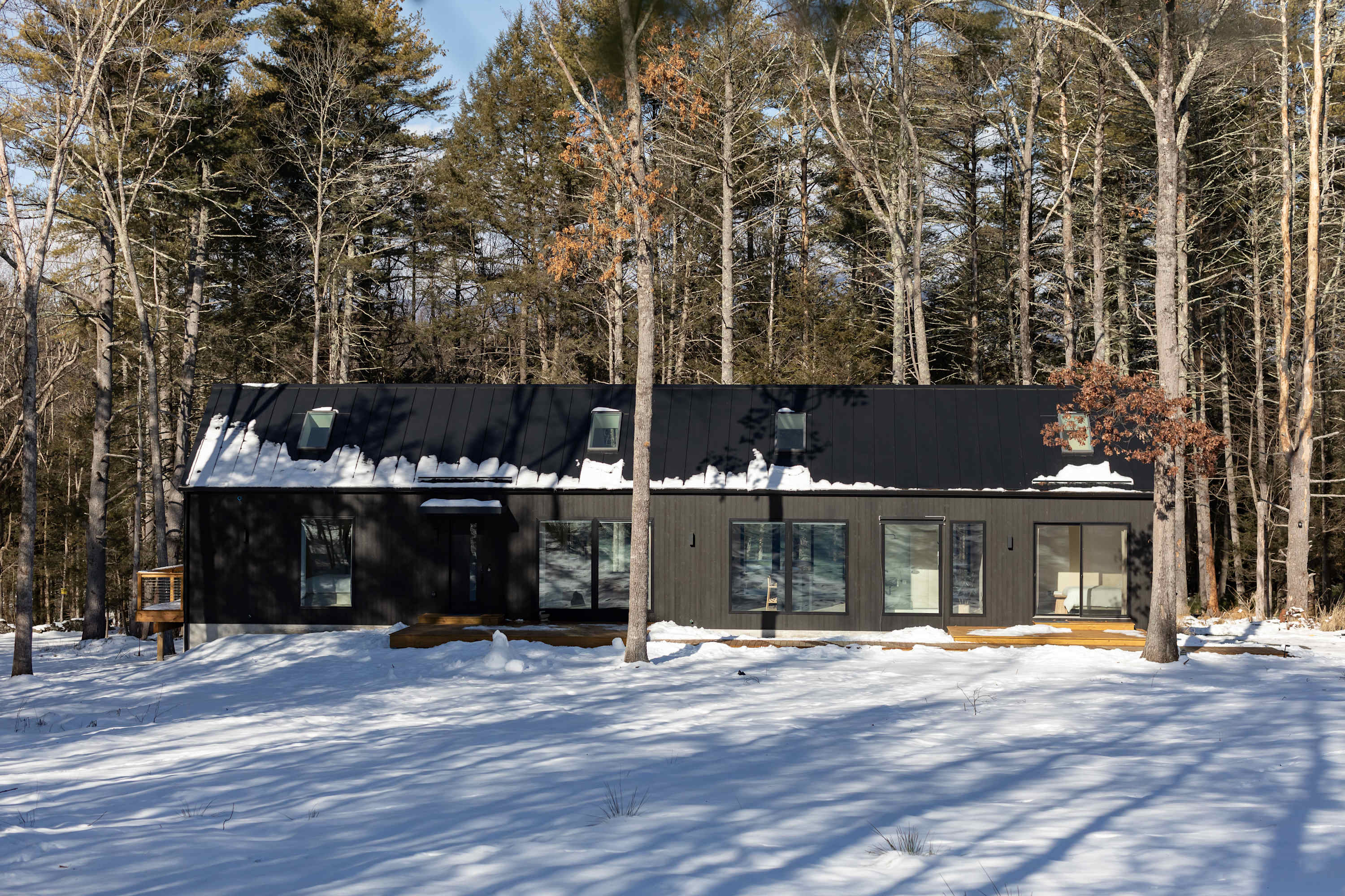 A modern, dark-colored house with a black metal roof and multiple large windows, set against a snowy landscape with tall, bare trees in the background. A wooden deck is visible along the front of the house.