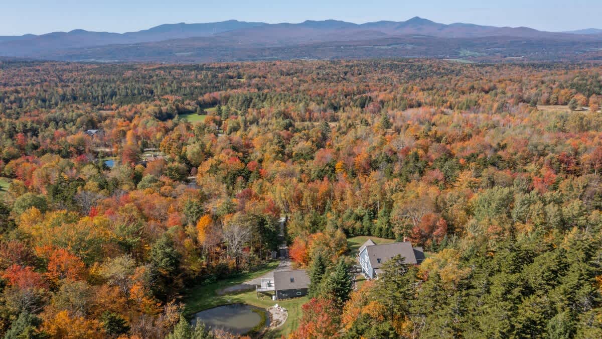 Expansive aerial view showcasing two houses, a main blue one and a smaller grey one with a pond, nestled within a vast forest of vibrant autumn trees. Distant mountains frame the horizon under a clear sky.