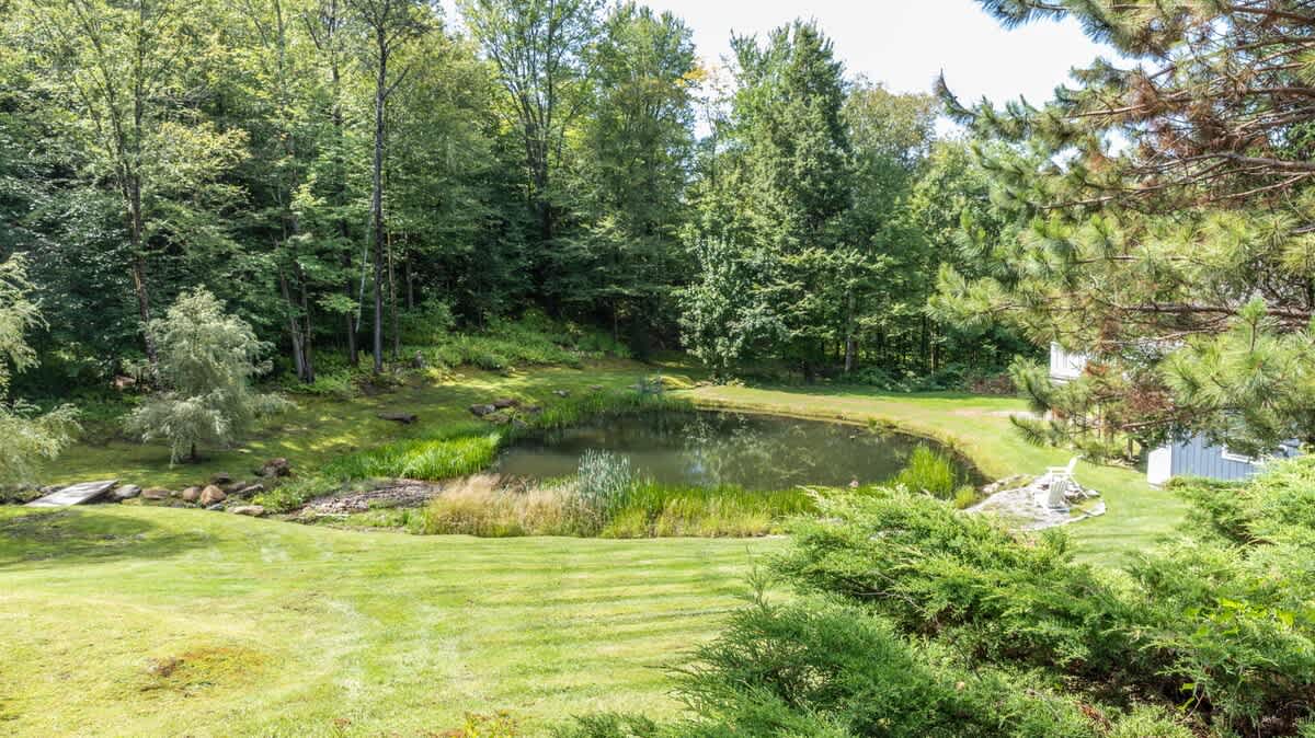 Serene backyard scene featuring a tranquil pond surrounded by tall green grass and dense forest, with a small wooden bridge crossing a stream. A white Adirondack chair offers a peaceful spot by the water.