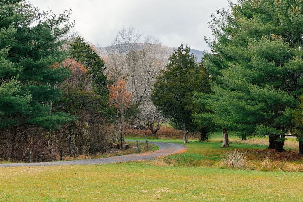 A winding asphalt driveway bordered by vibrant green grass and a variety of mature trees, including evergreens and bare deciduous trees. Distant mountains are faintly visible, suggesting a scenic, rural environment.