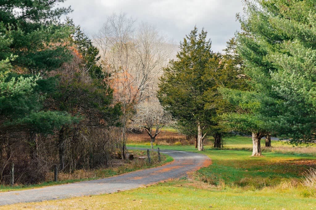 A winding asphalt driveway cuts through a lush green lawn, flanked by a mix of evergreen and deciduous trees in various stages of foliage. The scene suggests a tranquil, wooded approach to the property.