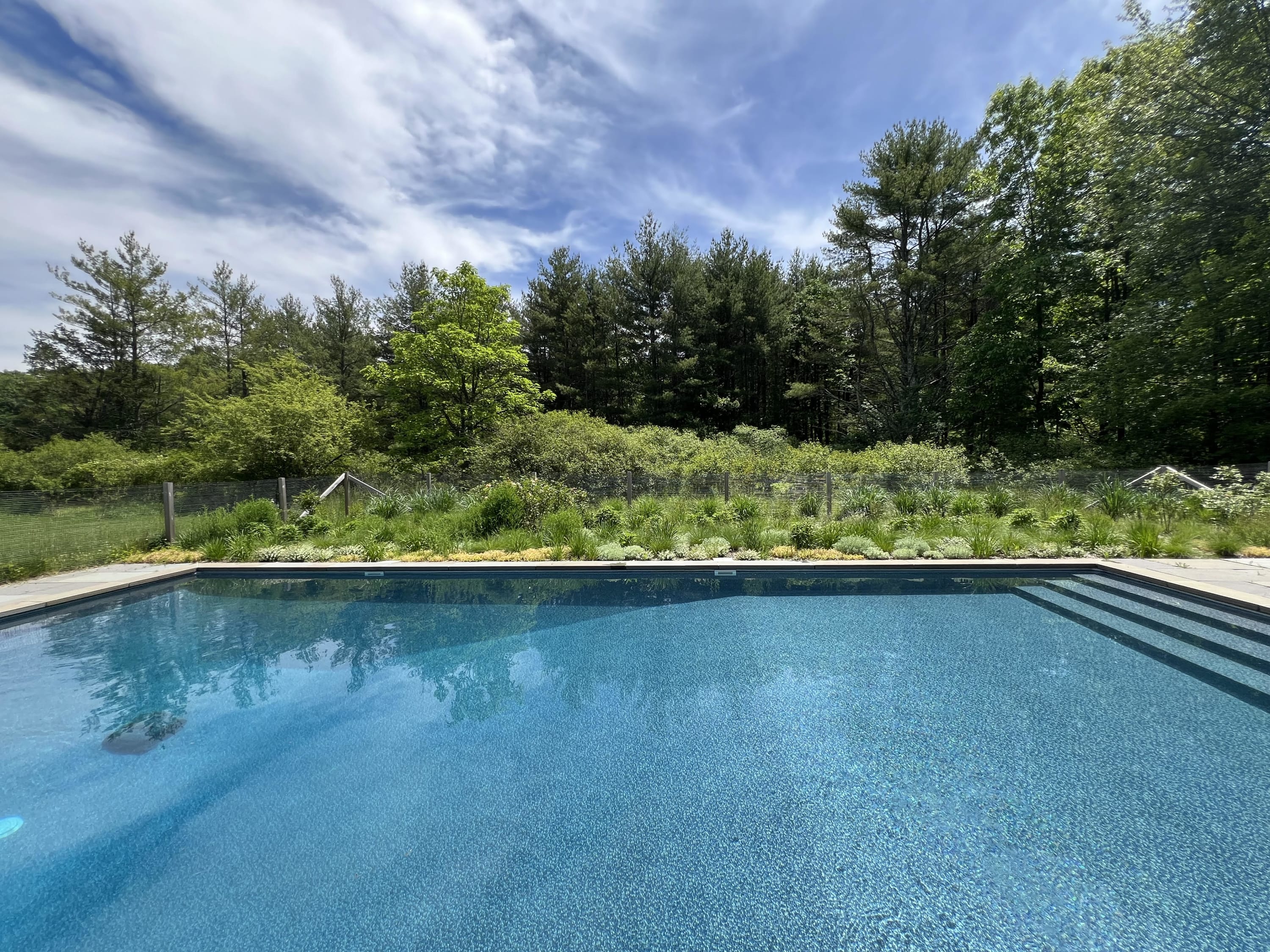 A sparkling blue outdoor swimming pool with integrated steps is surrounded by a light-colored stone patio and lush green landscaping. A subtle fence separates the pool area from a dense forest under a bright blue sky with scattered white clouds.