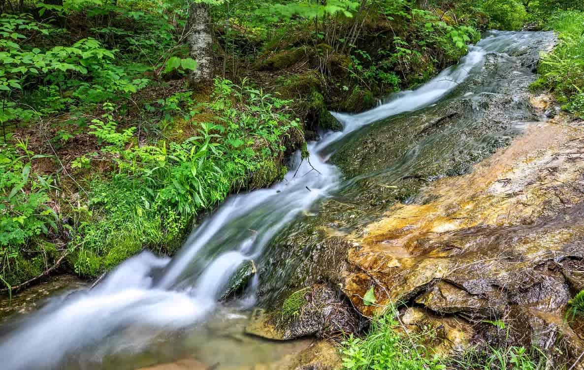 A close-up view of a clear stream cascading over smooth, moss-covered rocks and through lush green vegetation in a forest setting, emphasizing the natural water feature.