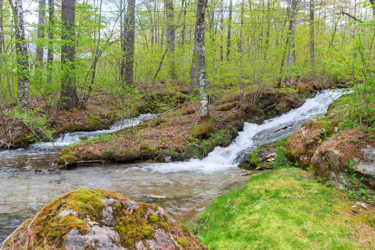 A clear stream with small cascades flowing over mossy rocks and through a vibrant green forest, highlighting the natural beauty of the property's surroundings.