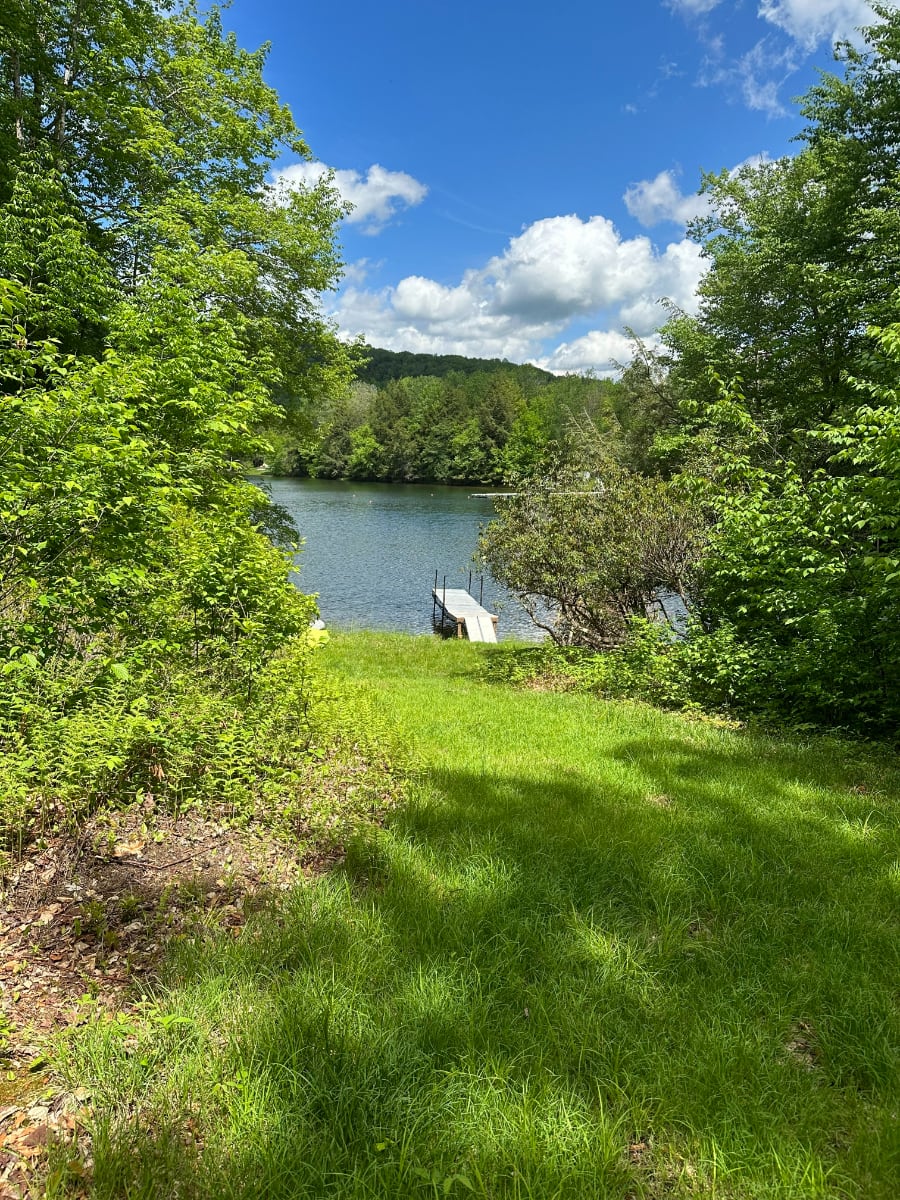 A tranquil view of a calm lake with a small wooden dock extending into the water, seen from a grassy area. The scene is framed by lush green trees under a bright blue sky dotted with fluffy white clouds.