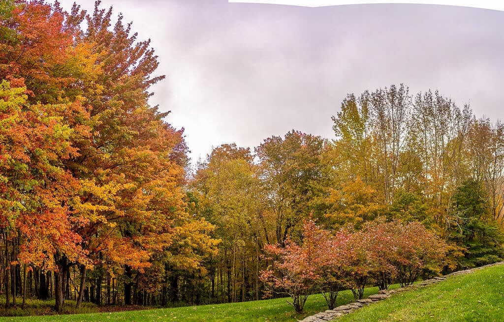 A picturesque autumn landscape featuring a gently sloping green lawn leading to a dense forest of trees. The foliage displays a stunning array of orange, yellow, and red hues under a soft, cloudy sky.