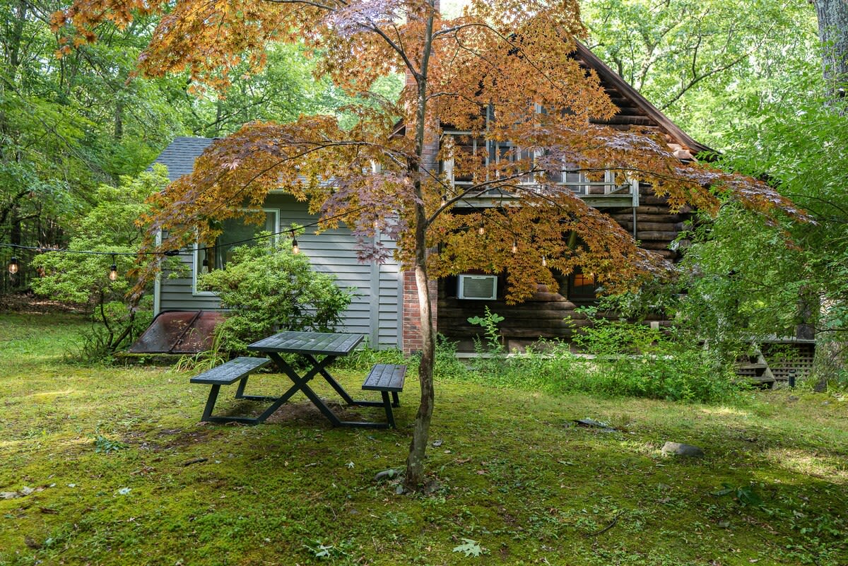 A cozy cabin with a blend of log and gray siding, set amidst a lush green yard with a distinctive orange-leafed tree in the foreground. A black picnic table is positioned near the tree, and string lights are visible on the cabin's side.
