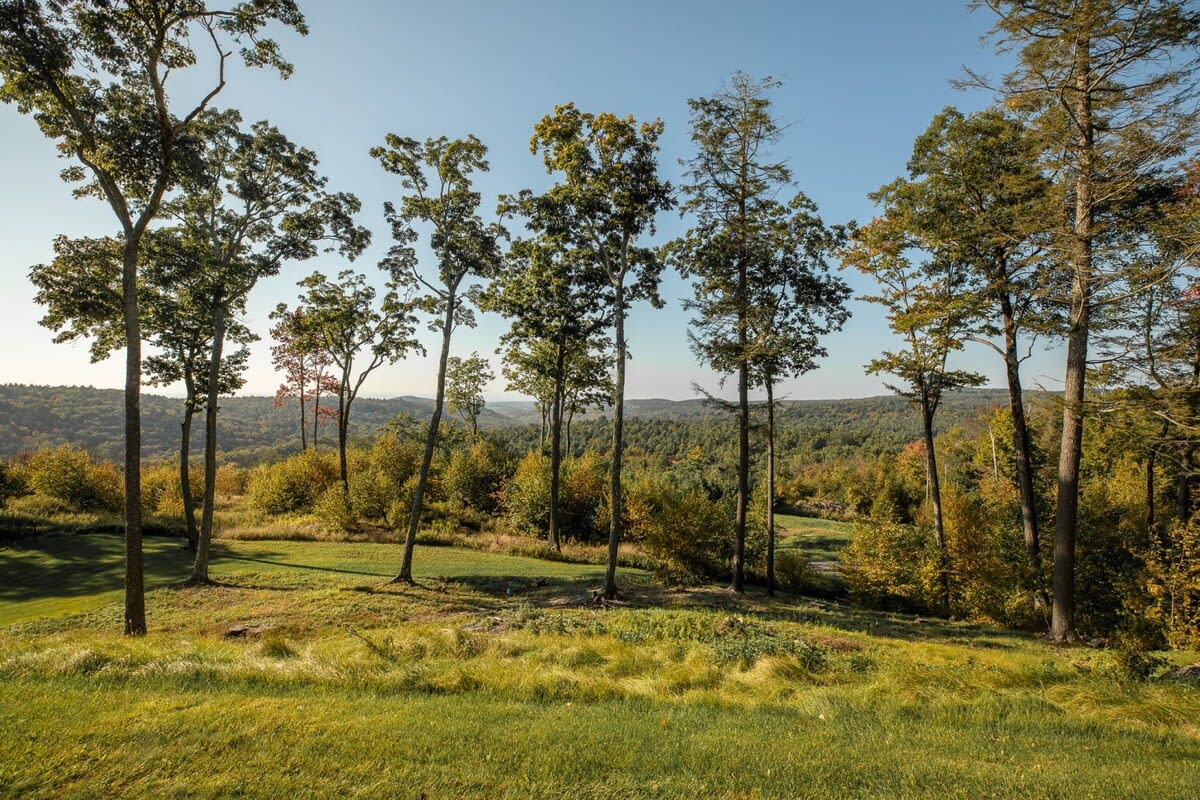 A wide-angle view of a sloping grassy yard with several tall, slender trees, overlooking a vast, rolling forested landscape under a bright blue sky. The trees cast long shadows on the sunlit grass.
