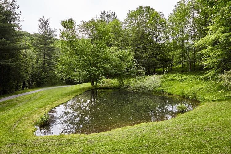 A serene natural pond, reflecting the surrounding lush green trees and grass, is nestled within a verdant landscape under a bright sky.