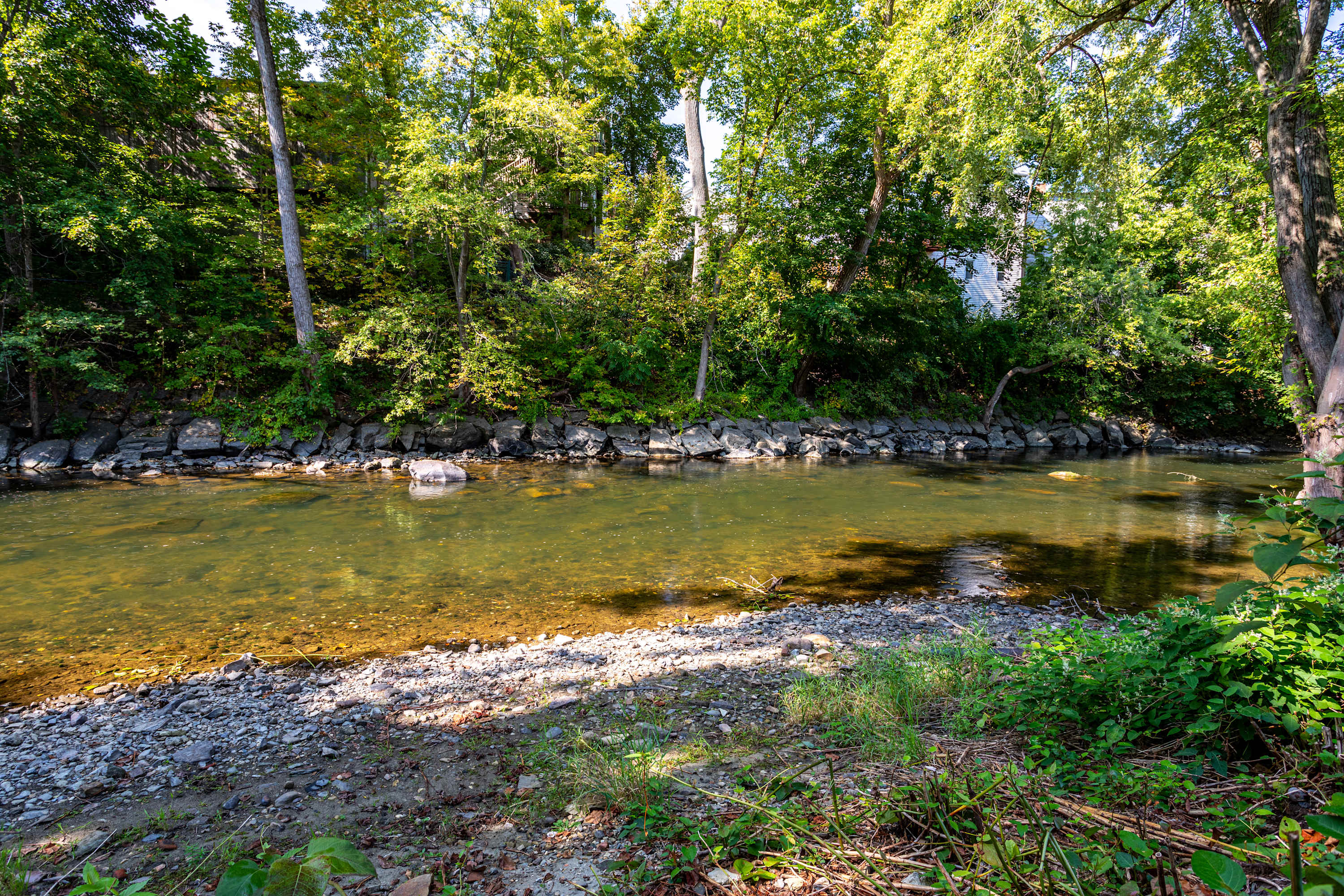 A close-up view of a clear, shallow river with a rocky bank, bordered by dense green trees and foliage, showcasing the natural beauty of the property's riverfront access.