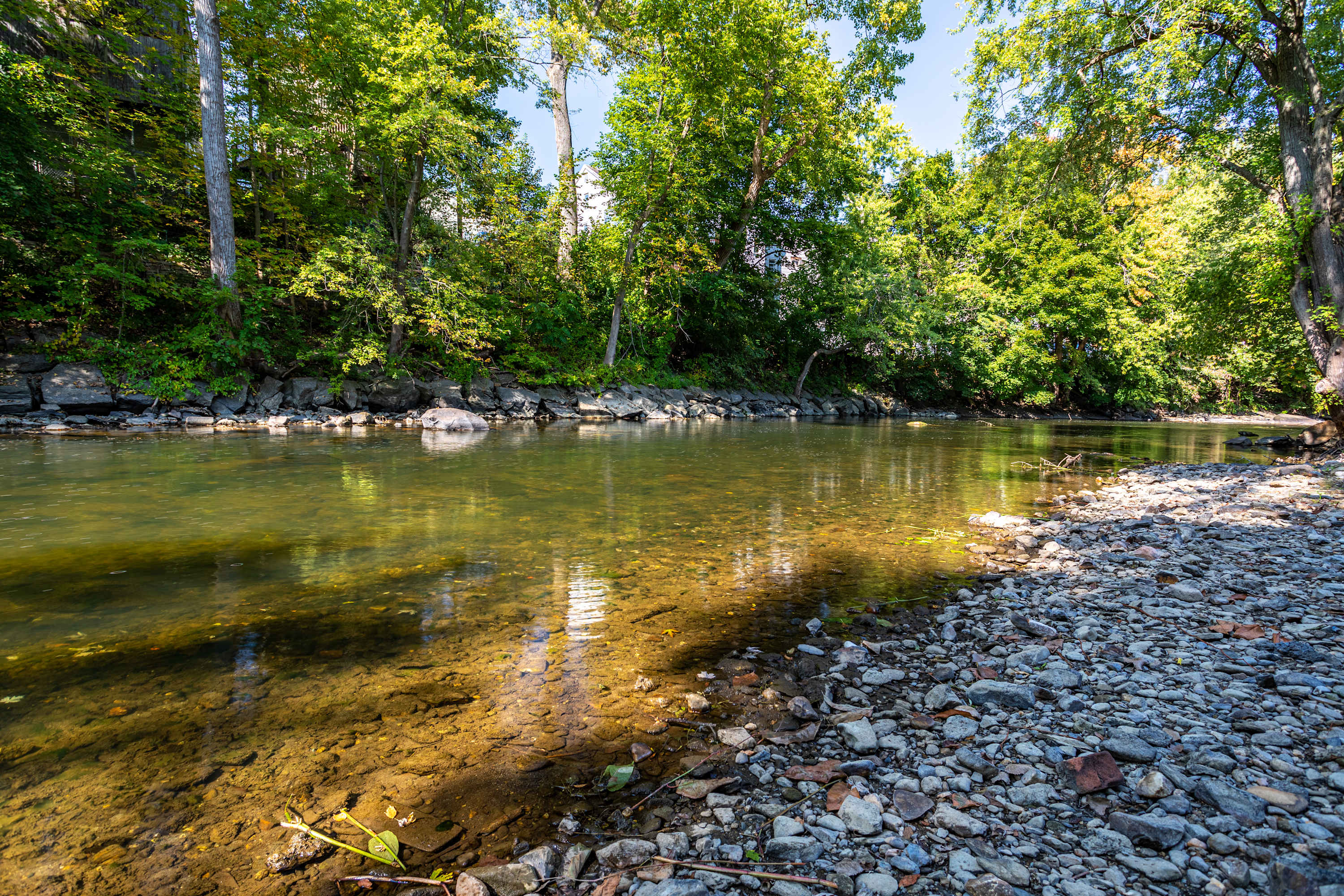 A tranquil river flows with clear, shallow water over a rocky bed, bordered by a pebbled bank and dense, vibrant green trees under a bright blue sky. Sunlight reflects off the water's surface, highlighting the natural beauty of the riverfront.