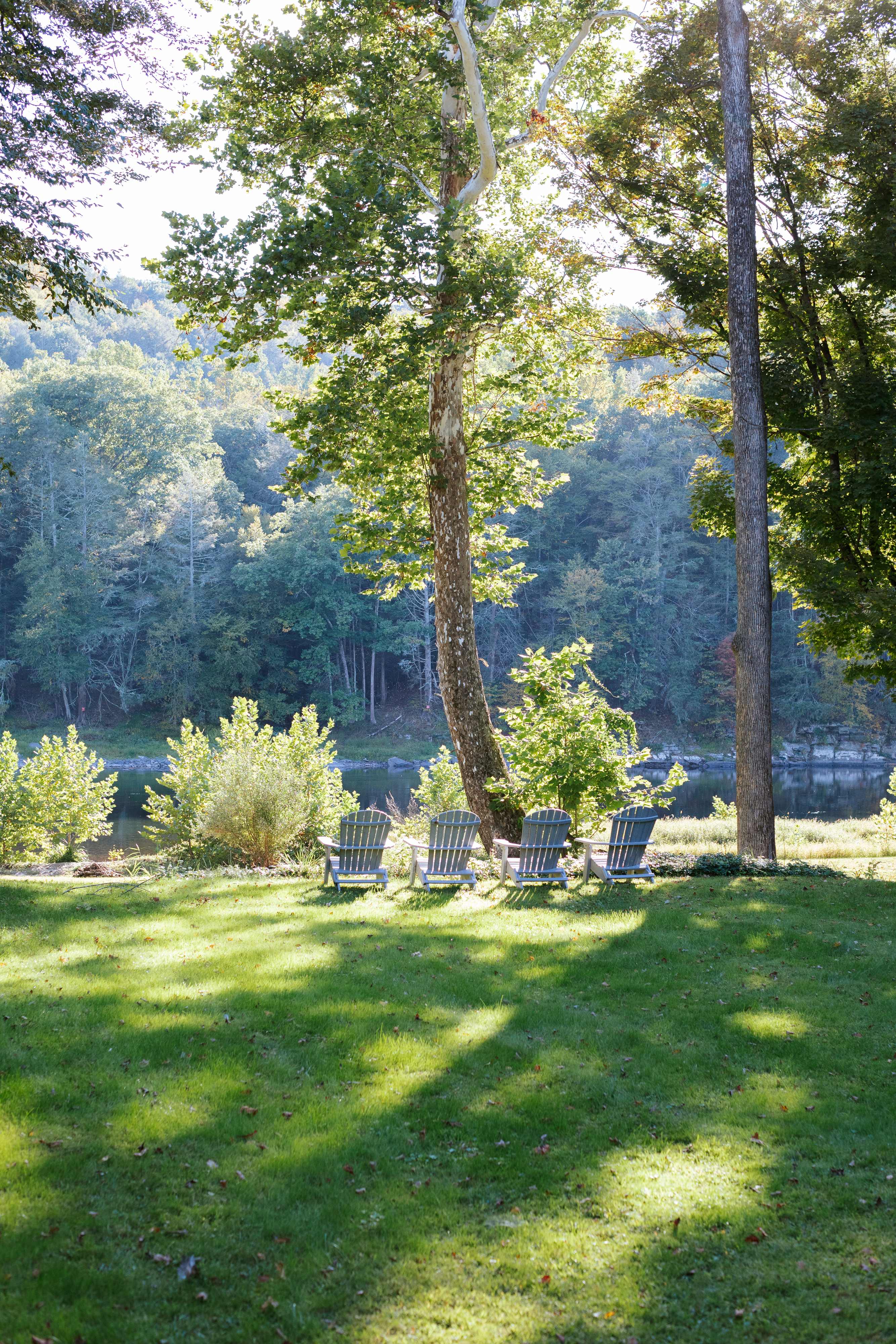 A serene grassy yard with four Adirondack chairs positioned to face a calm river, shaded by tall, mature trees, offering a tranquil outdoor seating area.