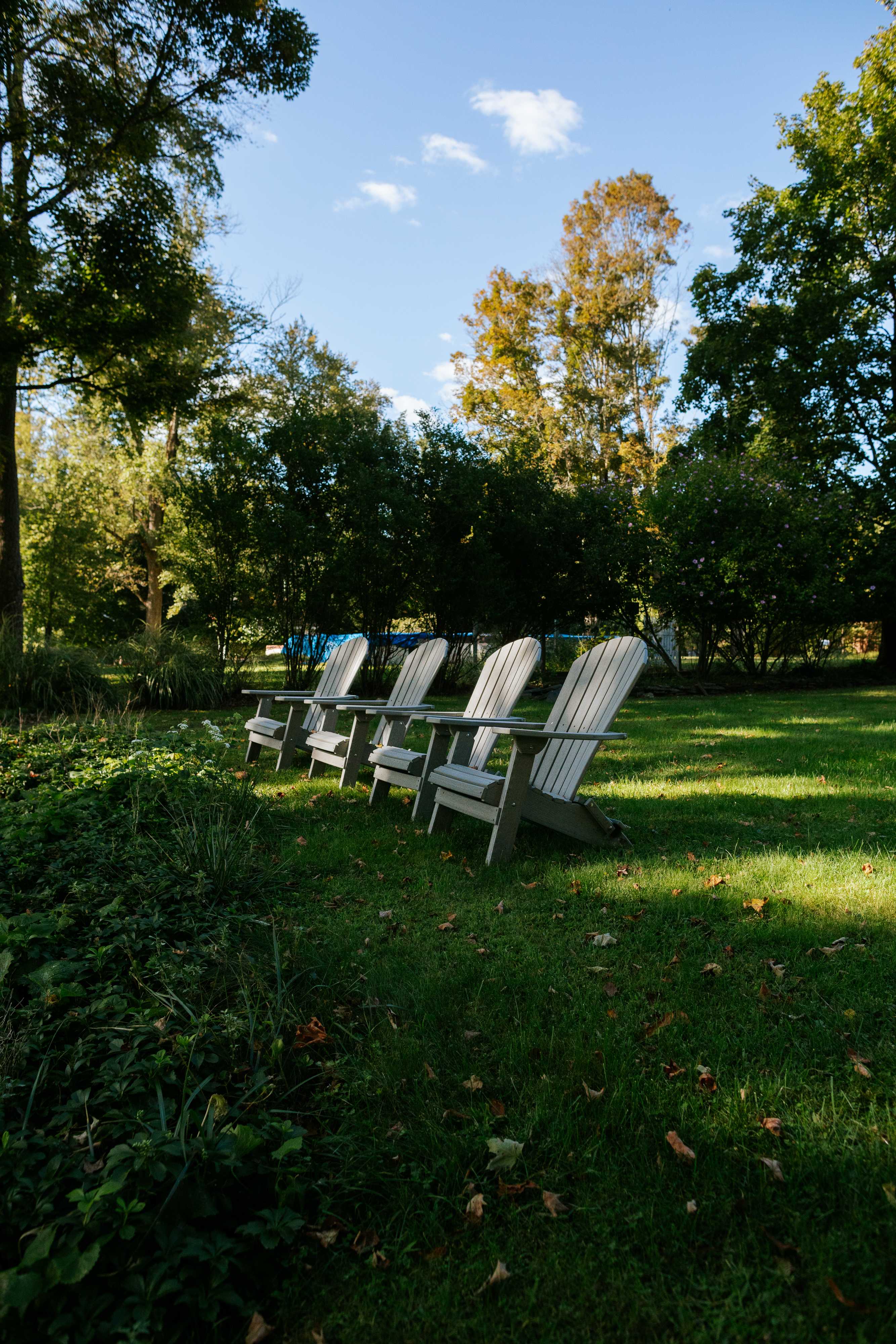 Grassy yard with a row of four light-colored Adirondack chairs, surrounded by mature trees and lush foliage under a bright blue sky.