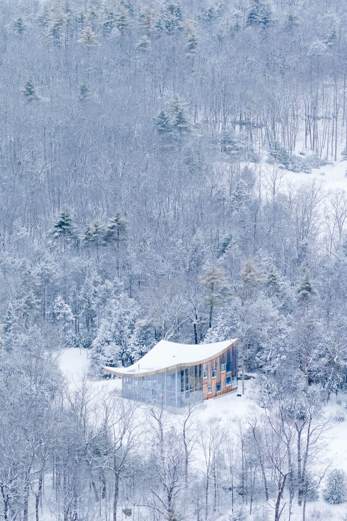 A high aerial perspective captures the distinctive curved-roof house surrounded by a vast, snow-dusted forest, showcasing its contemporary design and the serene, secluded winter setting.
