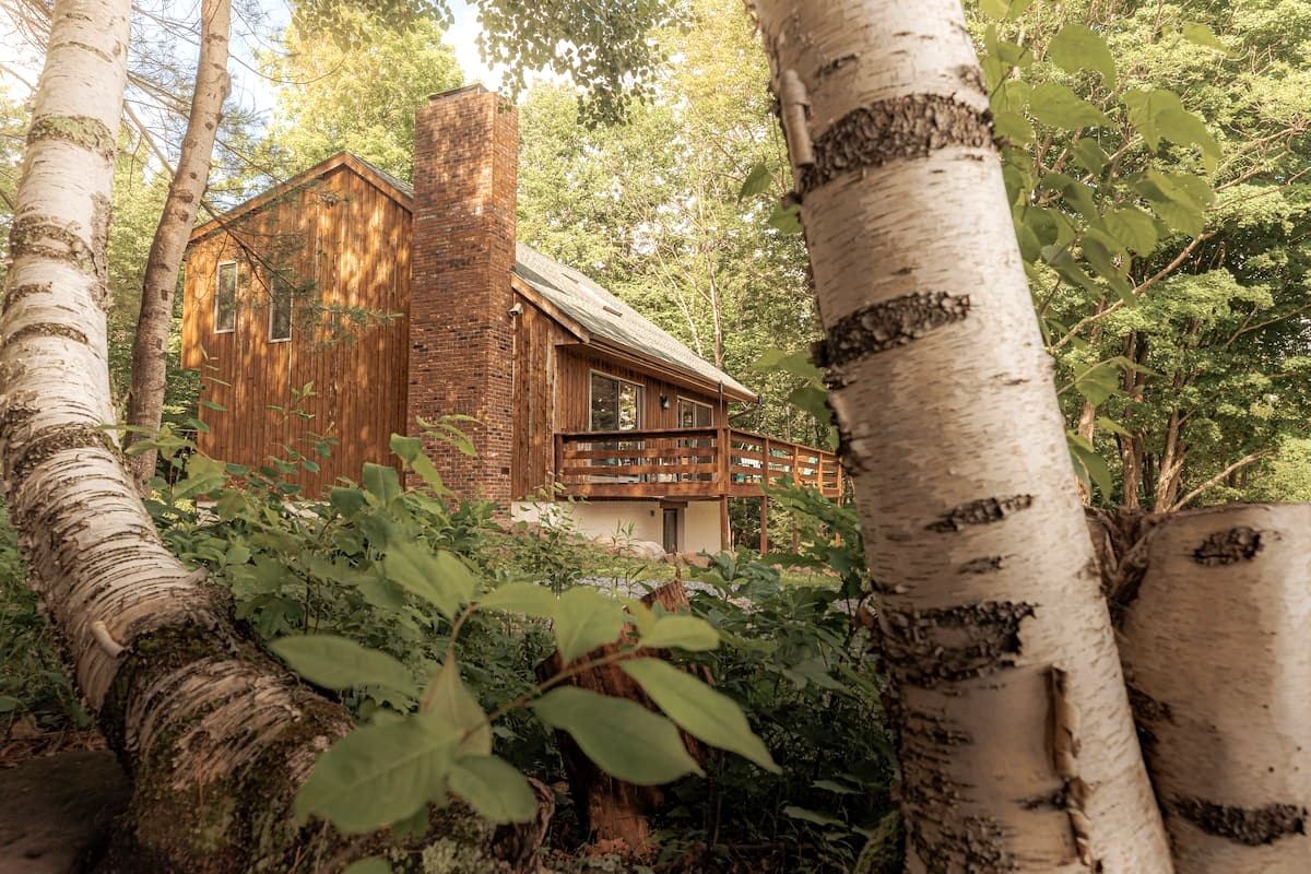 A rustic wooden cabin with a brick chimney and a wooden deck is partially hidden by lush green foliage and prominent birch trees in the foreground, suggesting a secluded forest setting.
