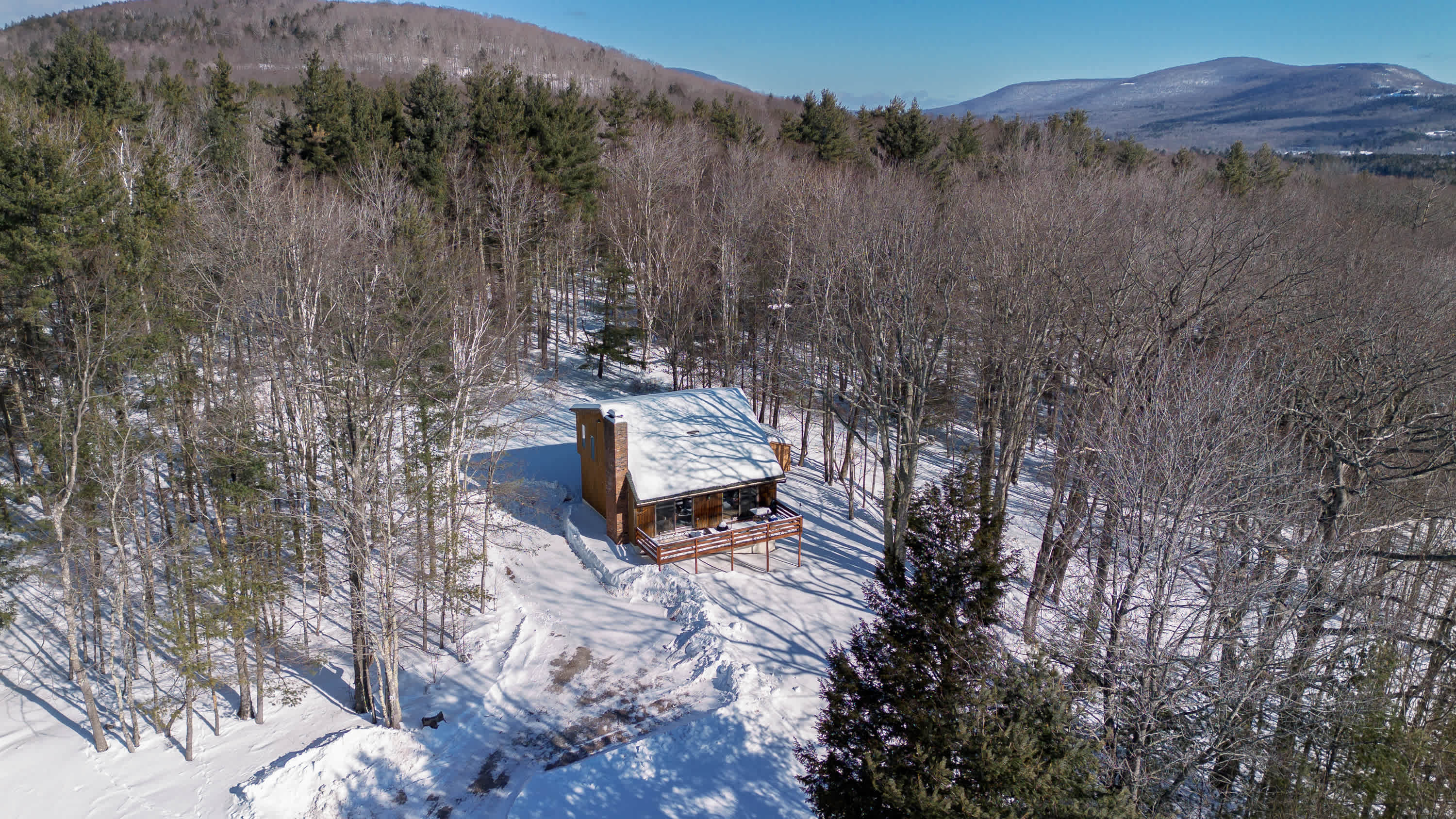 An aerial view of a secluded wooden cabin with a snow-dusted roof, nestled among a dense forest of bare and evergreen trees in a winter landscape. A snowy path leads to the house, with distant mountains visible.