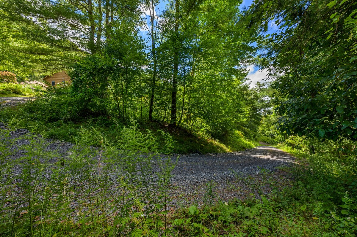 A winding gravel driveway leads through a lush, green, forested landscape under a bright blue sky. A glimpse of a rustic wooden house is visible through the dense trees in the distance.