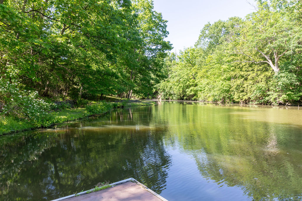 Serene lake view surrounded by dense green trees under a bright sky. A small wooden dock or platform is visible in the foreground.