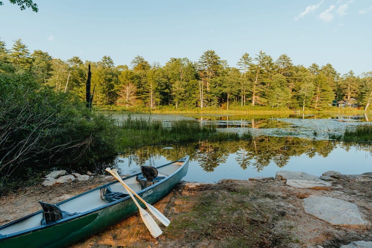 A green canoe with two paddles rests on the muddy shore of a calm lake, surrounded by lush green trees and vegetation under a bright sky. The lake surface reflects the sky and trees.