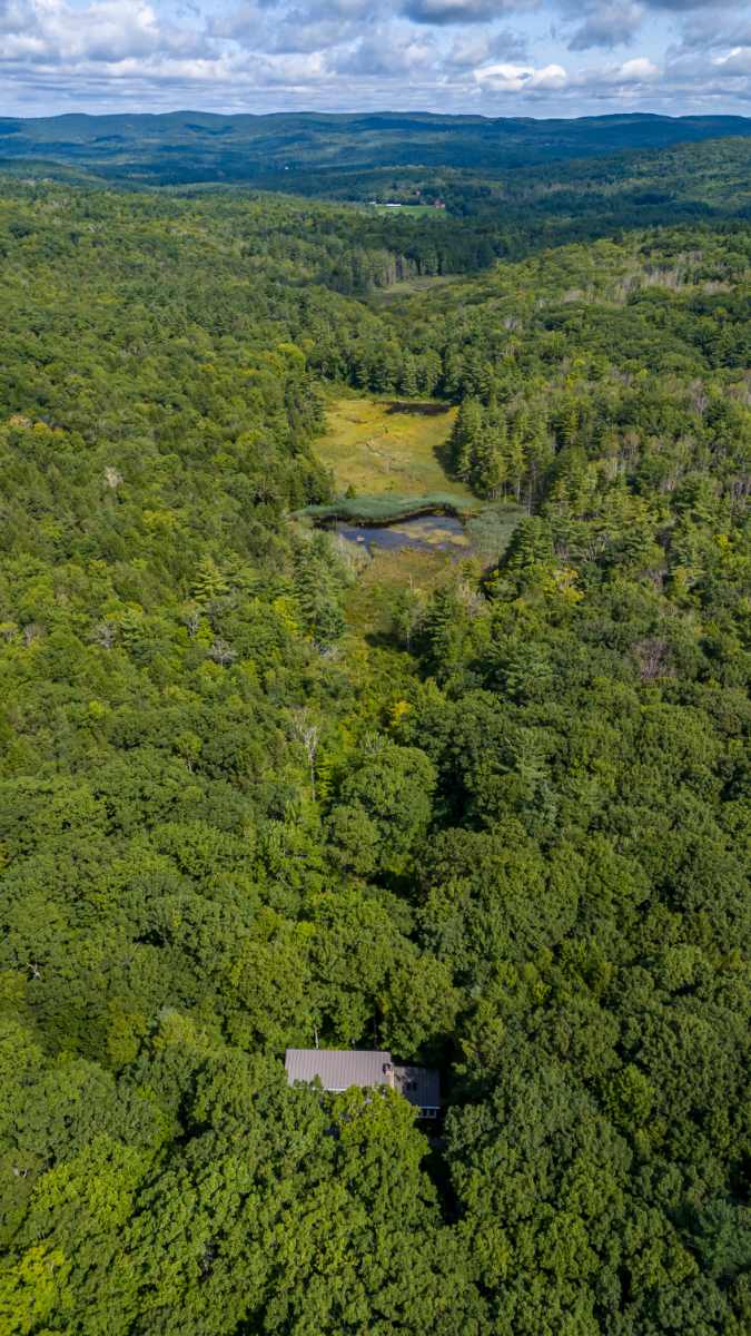 High aerial view showcasing a secluded house with a dark roof, completely enveloped by a vast, dense green forest, with a winding wetland and pond visible in the distance.