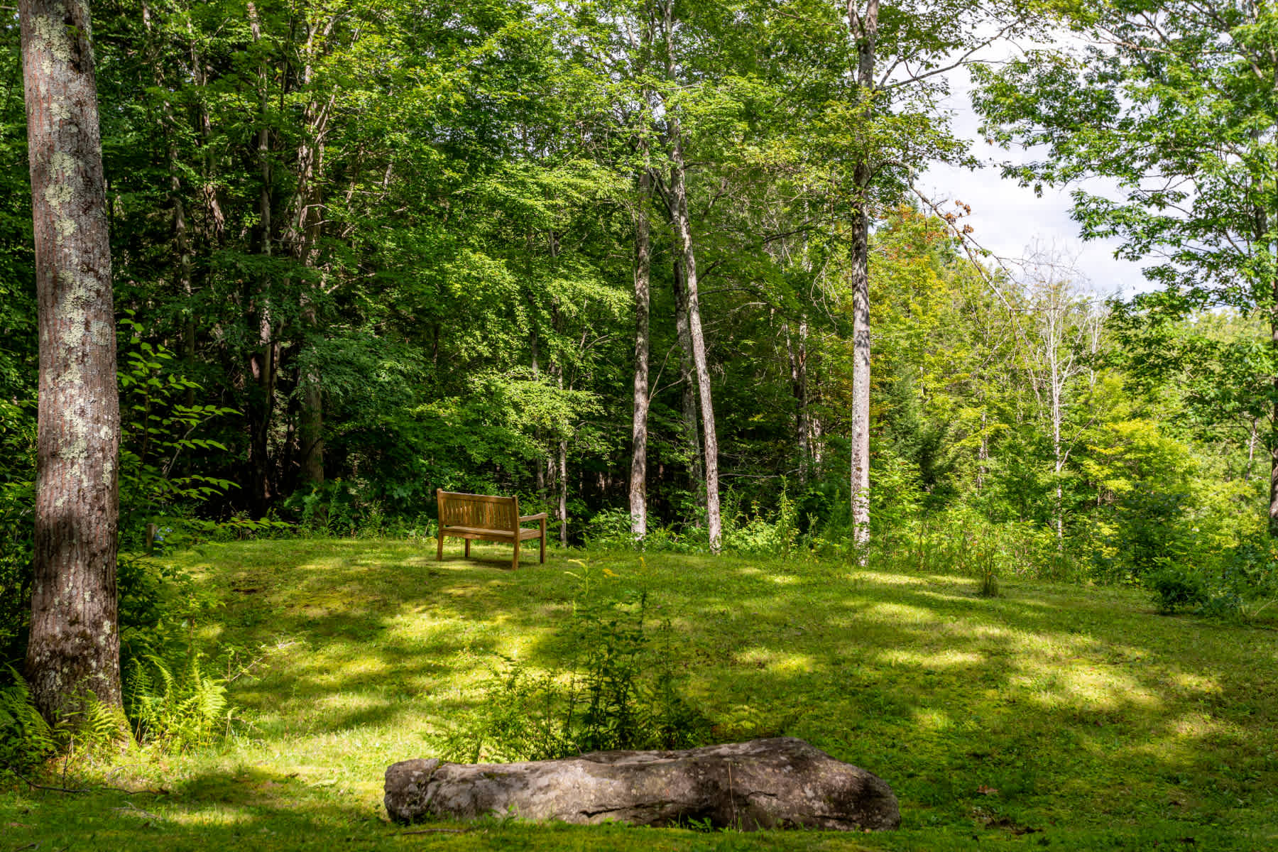 A rustic wooden bench is nestled in a clearing of a lush green lawn, framed by tall trees, with a large moss-covered rock in the foreground, creating a tranquil outdoor setting.