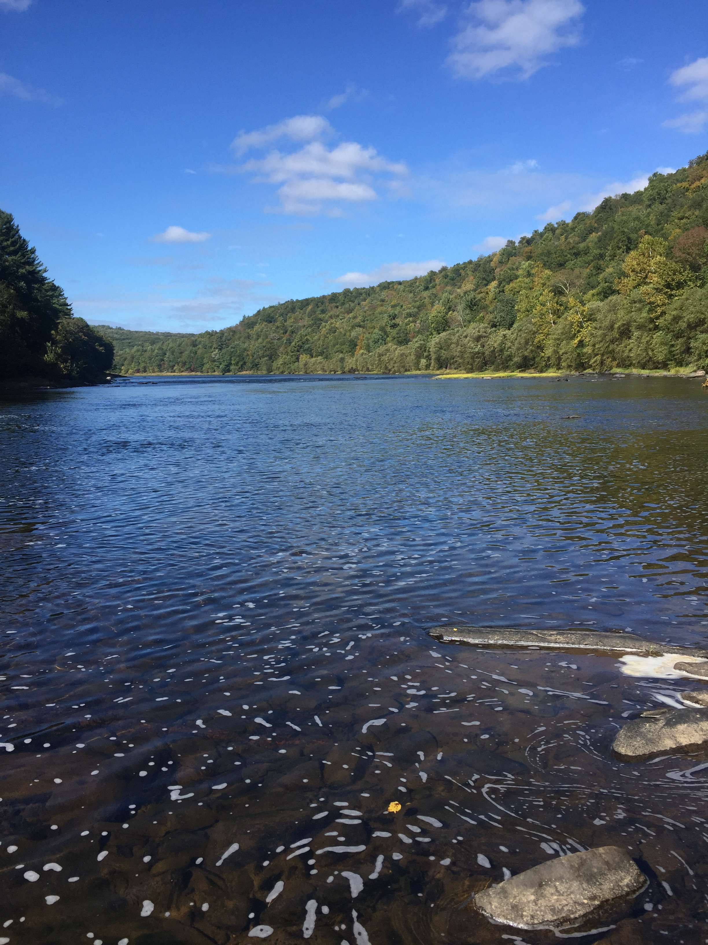 A serene view of a wide, calm river with clear water and visible rocks, flanked by lush green and autumn-colored trees under a bright blue sky with white clouds.