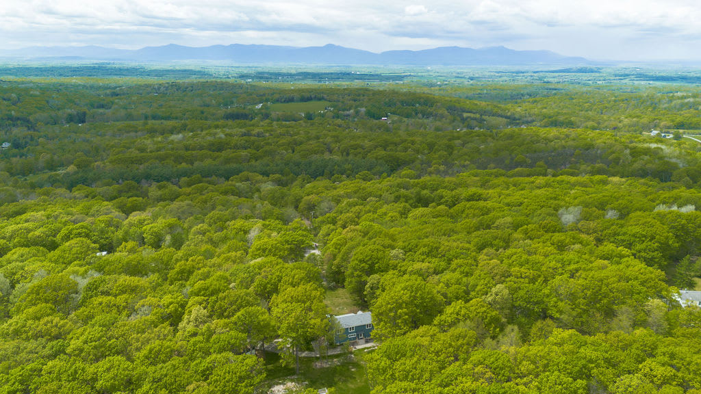 An aerial view showcases a single blue house nestled within a vast, lush green forest, with distant mountains visible under a cloudy sky. The house is surrounded by dense trees, highlighting its secluded location.