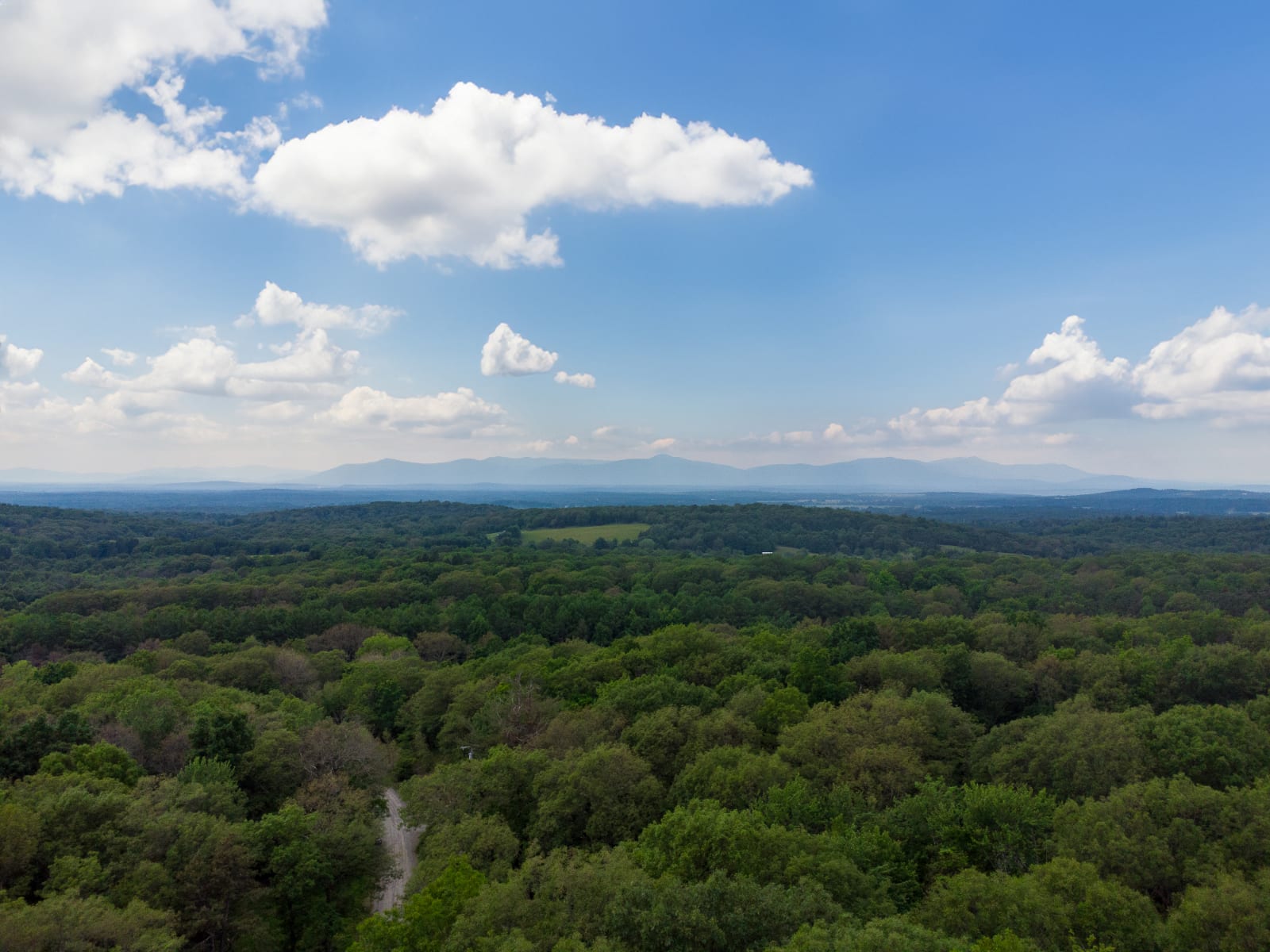 A breathtaking aerial panorama reveals an expansive, vibrant green forest stretching to the horizon, with distant mountains under a bright blue sky dotted with white clouds.
