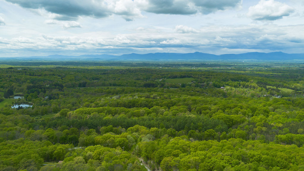 An expansive aerial view captures a dense, bright green forest covering rolling terrain, with a long range of mountains visible in the hazy distance under a partly cloudy sky.