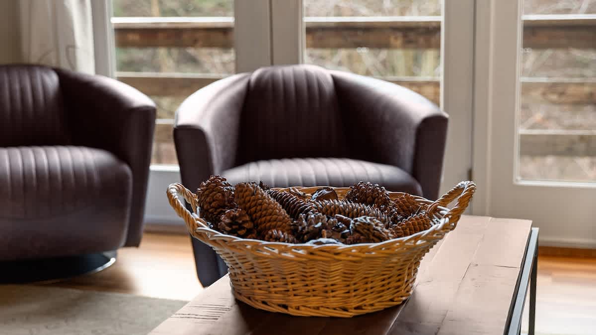 A close-up of a woven basket filled with pinecones on a coffee table, with two upholstered armchairs and French doors offering a view of the outdoors in the background.