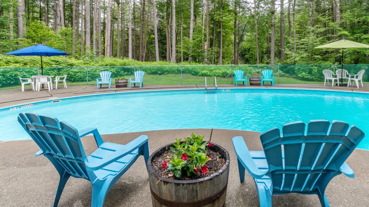 A bright blue swimming pool is surrounded by a concrete deck with several light blue Adirondack chairs and white patio furniture, all enclosed by a green mesh fence, with a dense forest providing a lush green backdrop.