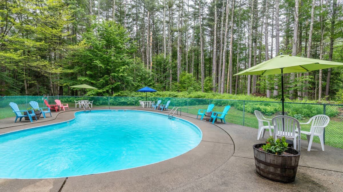 A curved outdoor swimming pool is surrounded by a concrete deck with various colorful Adirondack chairs and umbrellas, set against a backdrop of tall, lush green trees. A fence encloses the pool area.