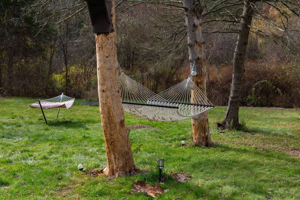 Two hammocks are set up in a lush green yard, one white mesh hammock strung between two trees and another pink one on a stand, with a wooded background.