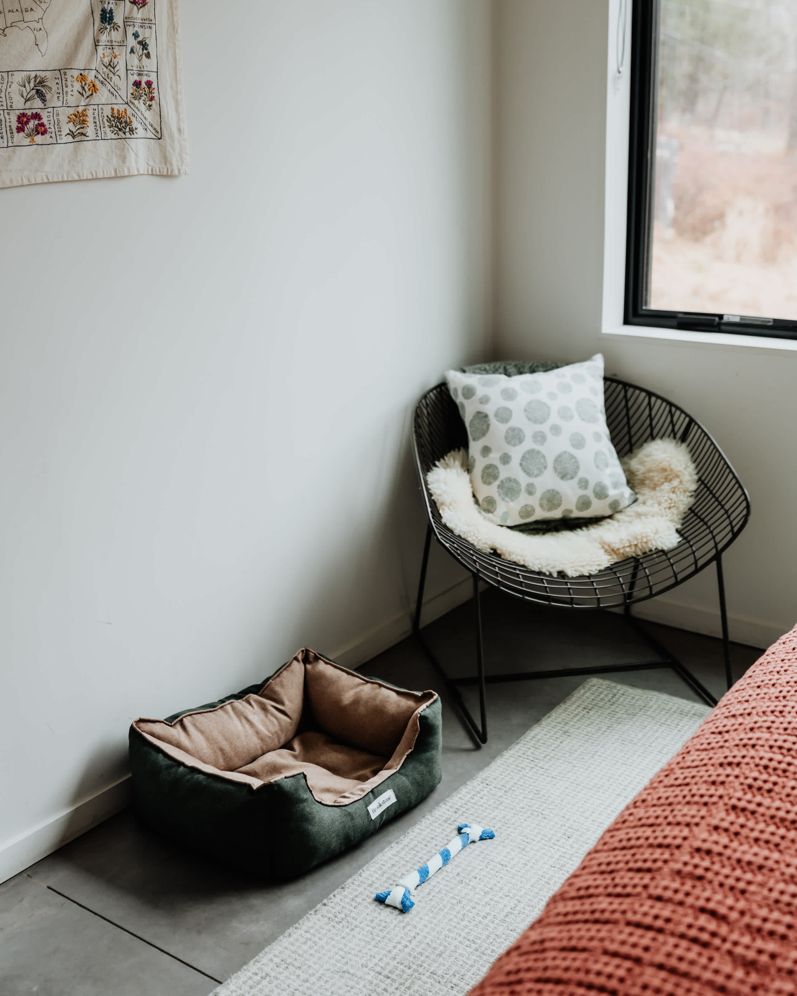 A corner of a bedroom includes a dark green dog bed with a toy, a modern black wire chair with a sheepskin throw, and a window, all set on a light rug over concrete flooring.