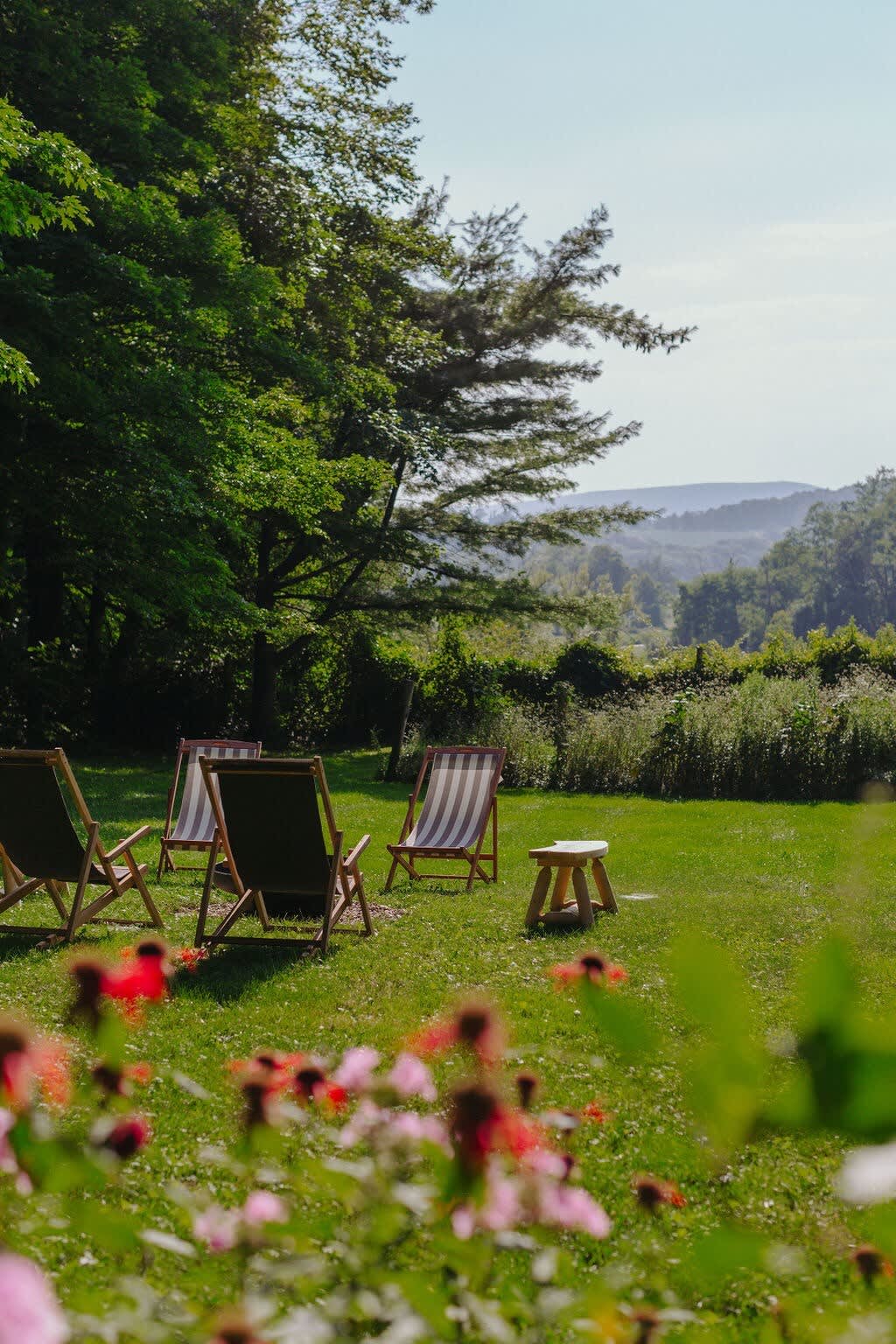 A lush green lawn features several wooden deck chairs with striped fabric, a small wooden stool, and vibrant red flowers in the foreground, all set against a backdrop of dense trees and rolling hills under a bright sky.