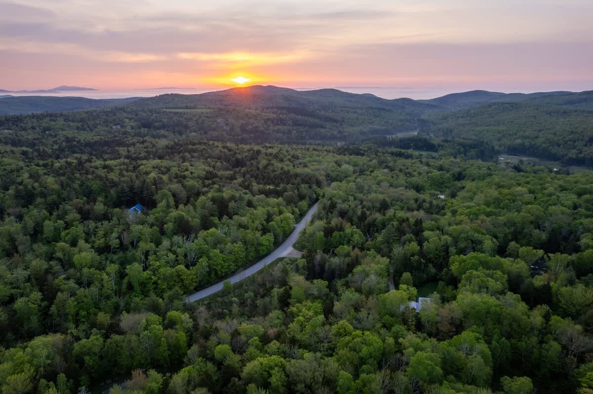 An expansive aerial view captures a winding road through a dense, vibrant green forest under a dramatic sunrise sky with a golden sun peeking over distant mountains. The property is visible nestled within the trees.
