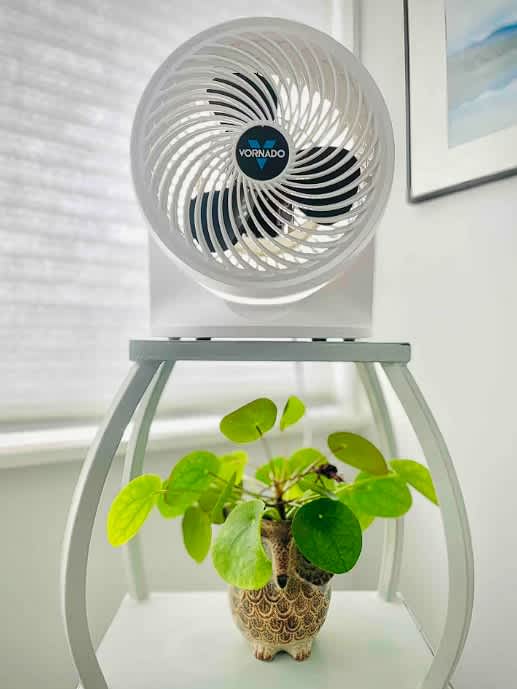 A white Vornado fan is mounted above a small white arched shelf, which holds a vibrant green Pilea plant in an owl-shaped ceramic planter. The fan's spiral grille is prominent, and a window with blinds is visible in the background.