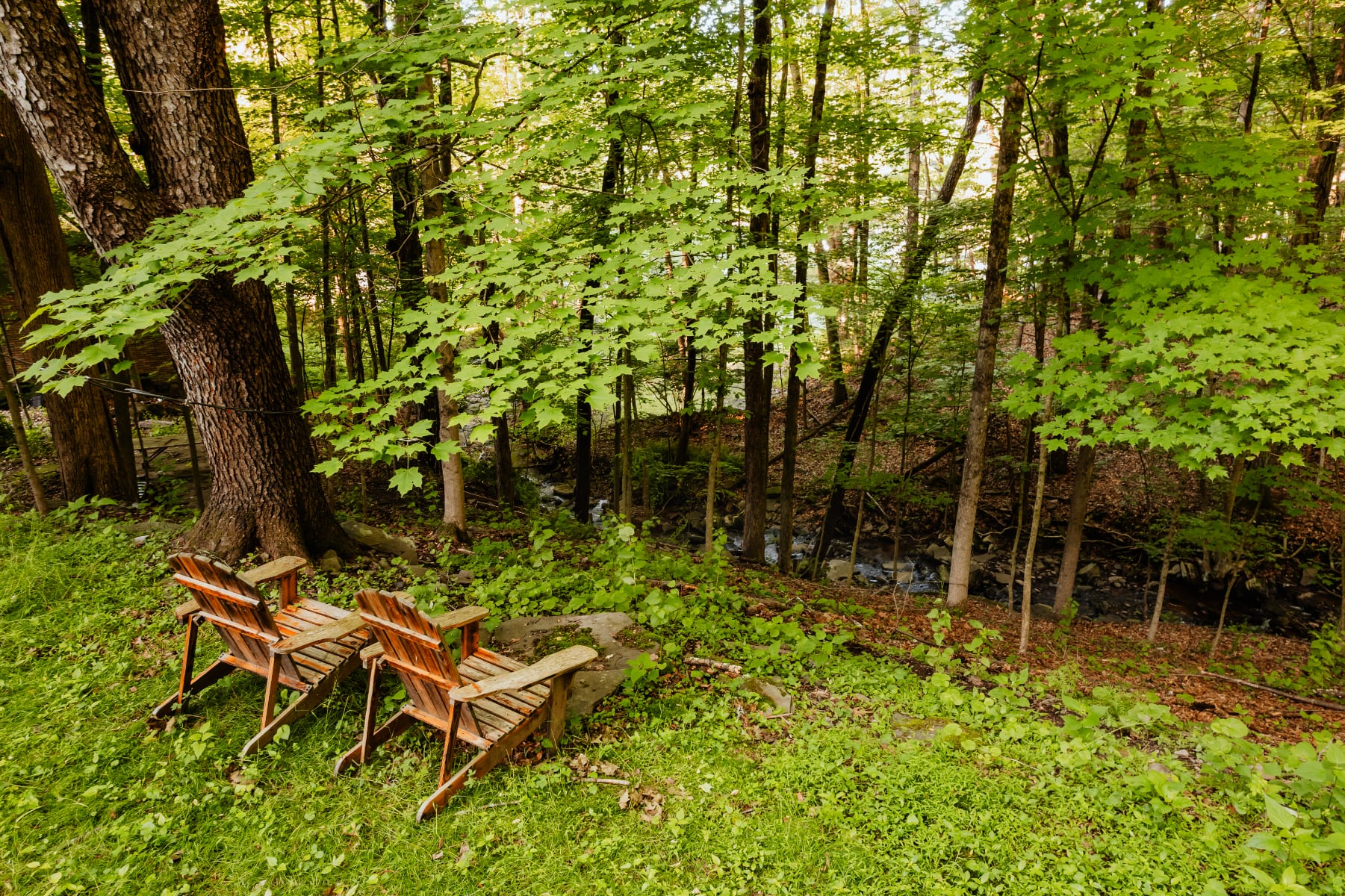 Two wooden Adirondack chairs sit on a grassy slope, facing a dense forest with a small stream visible below. Large, leafy trees provide a natural and serene setting.