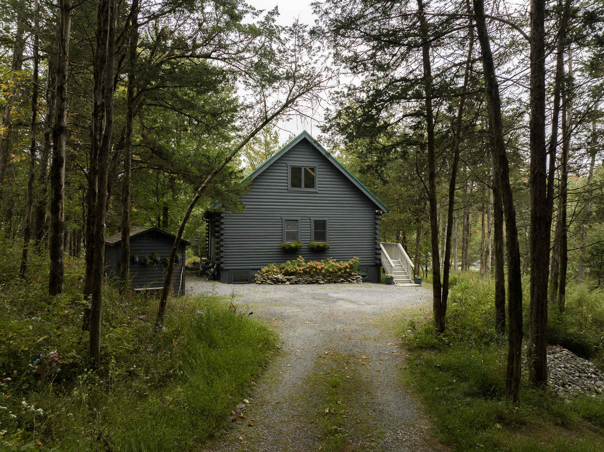 The front of a gray log cabin house with a green metal roof is visible at the end of a gravel driveway, flanked by tall trees and a small matching shed, showcasing its rustic charm.