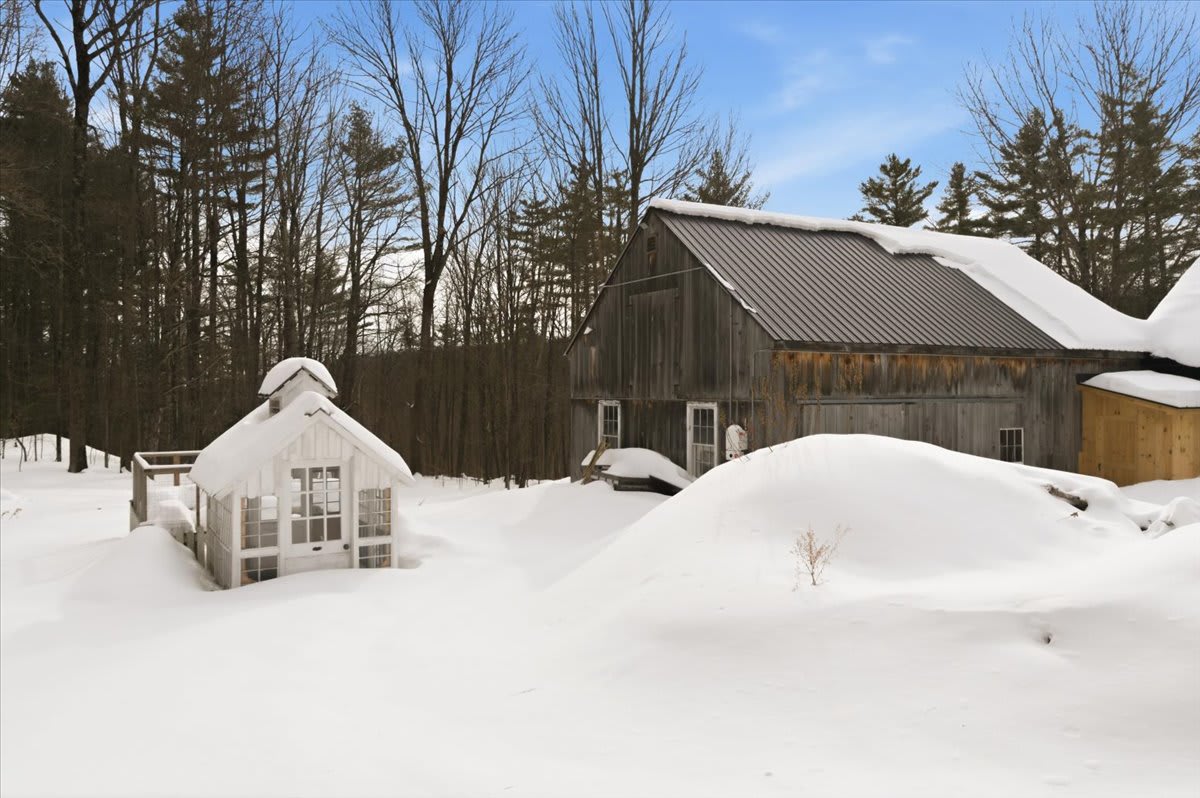 A snow-covered yard featuring a small white greenhouse and a large rustic wooden barn with a metal roof, set against a backdrop of tall pine trees and a clear blue winter sky.