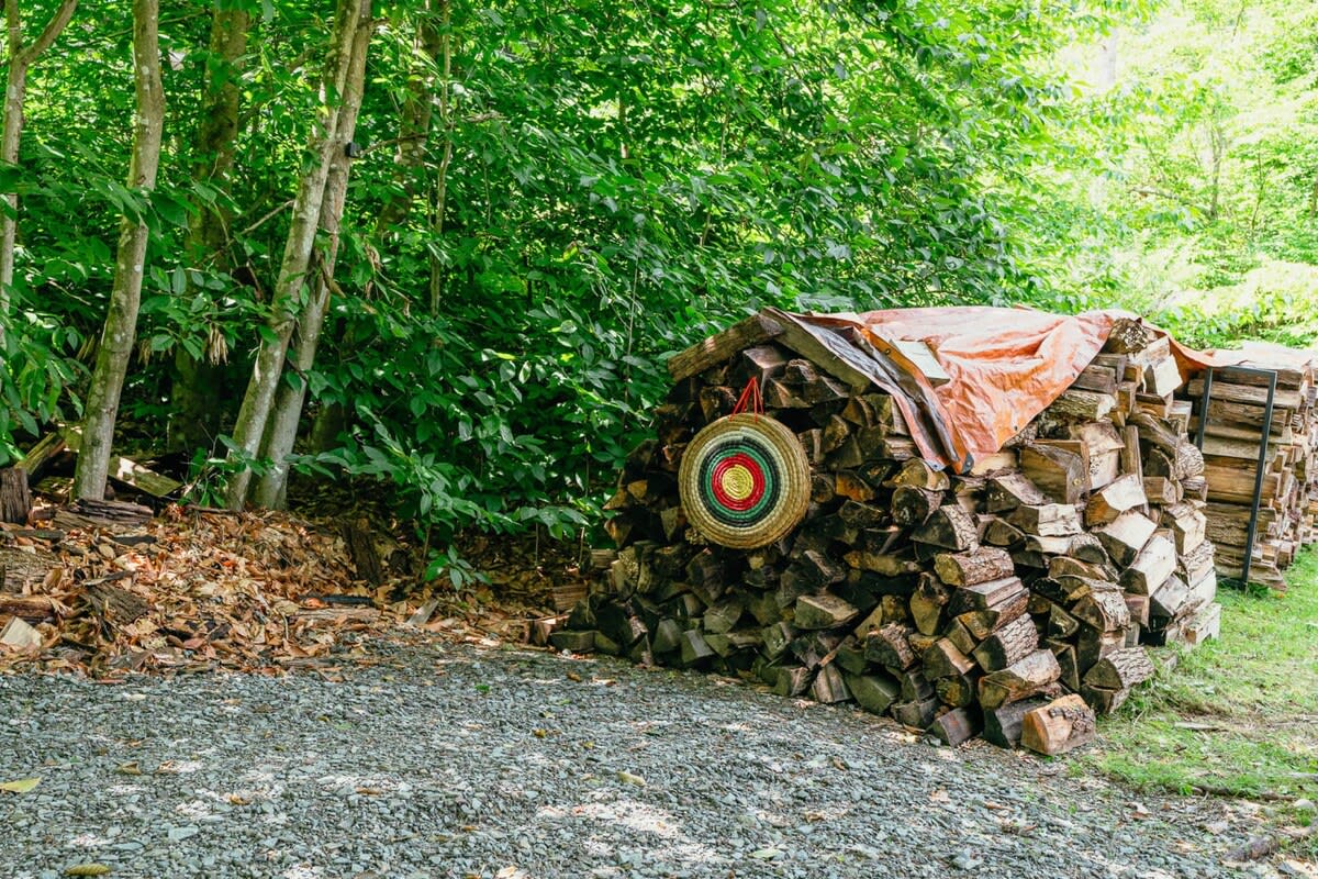 A large pile of firewood, partially covered by an orange tarp, with a colorful archery target leaning against it, set on a gravel ground next to a dense green forest.
