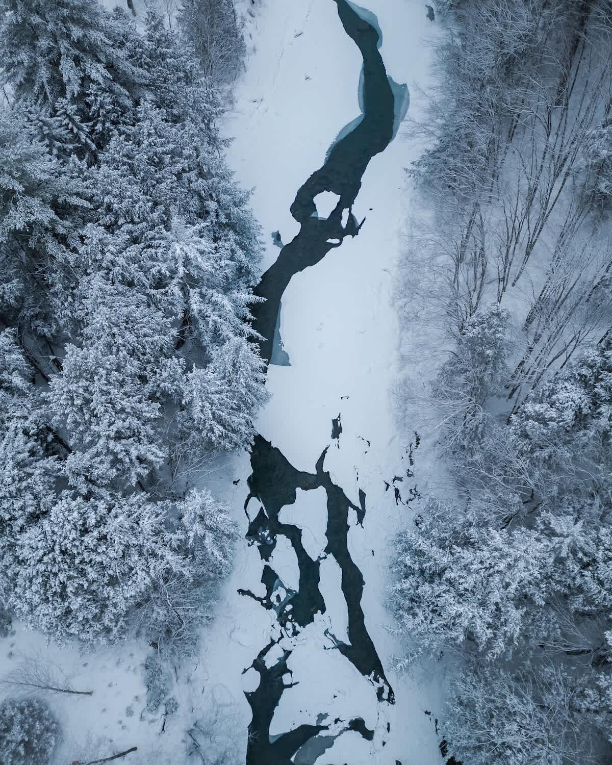 Aerial view of a partially frozen river, with dark open water contrasting against the white ice and snow-covered banks, winding through a dense, snow-laden evergreen forest.