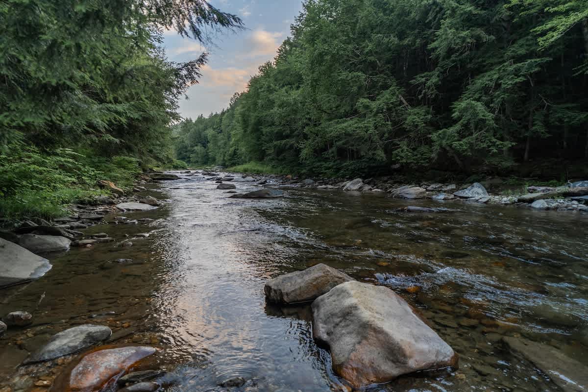 A serene river flows over rocks and pebbles, surrounded by a dense, lush green forest under a soft, cloudy sky. The water reflects the sky and trees, creating a peaceful natural scene.