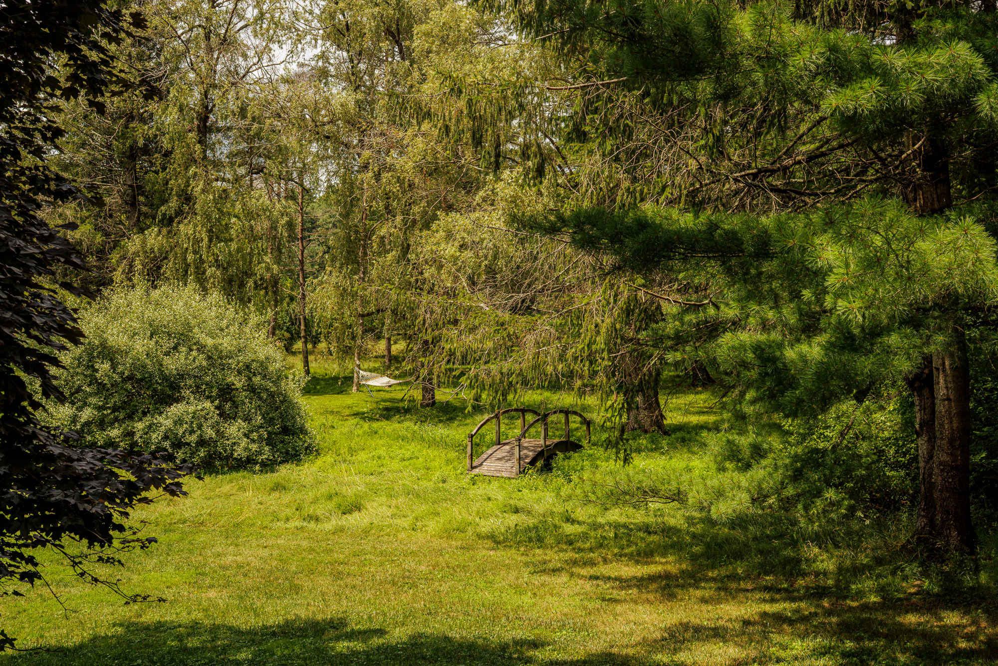 A picturesque garden scene features a small wooden bridge over a dry creek bed, a white hammock, and lush green foliage under the shade of tall trees.