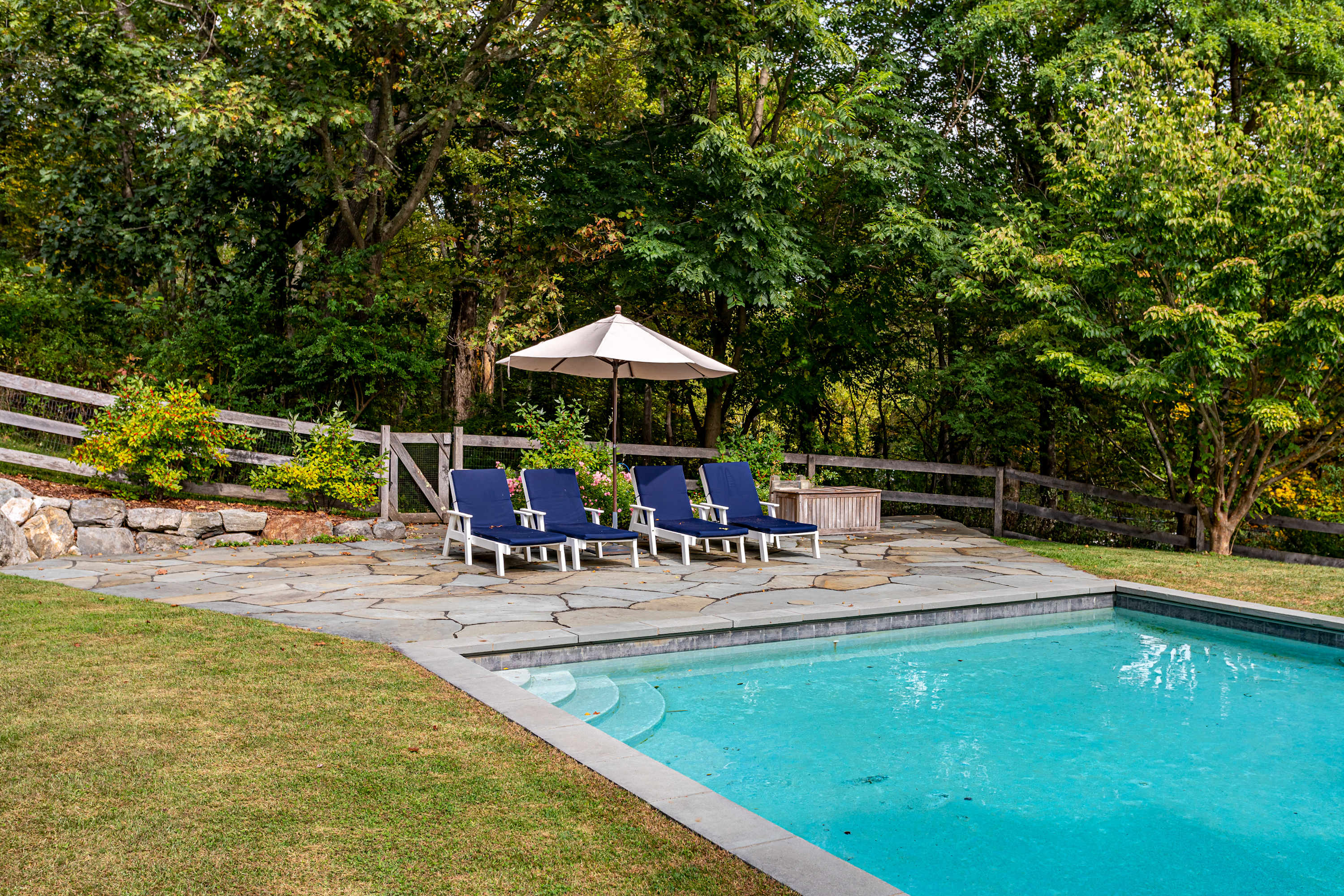 A rectangular swimming pool with blue water, surrounded by a flagstone patio with four blue lounge chairs and a white umbrella, backed by a wooden fence and dense green trees.