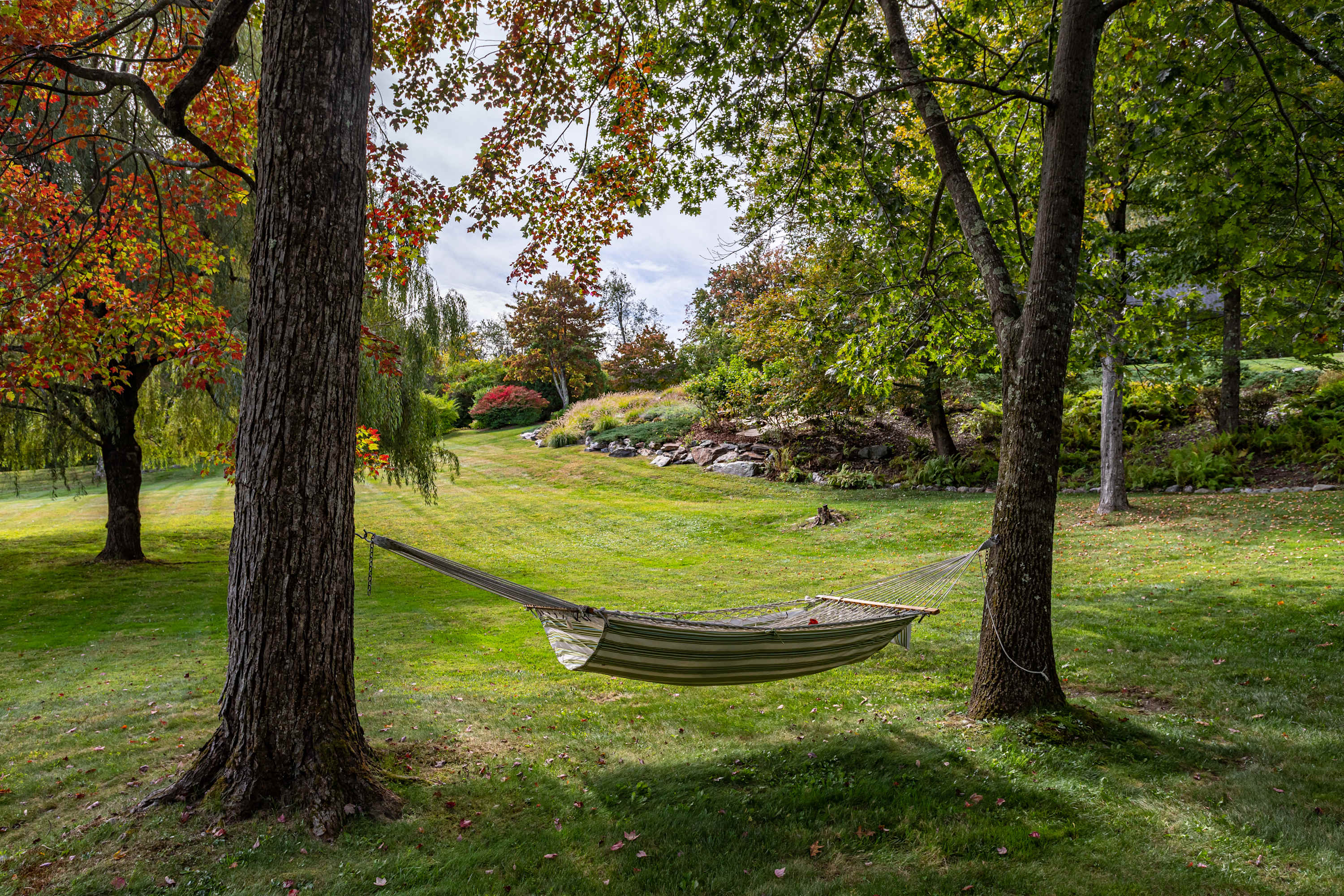 Serene outdoor scene with a striped hammock strung between two mature trees on a lush green lawn. Autumn foliage is visible in the background, suggesting a peaceful garden or yard setting.
